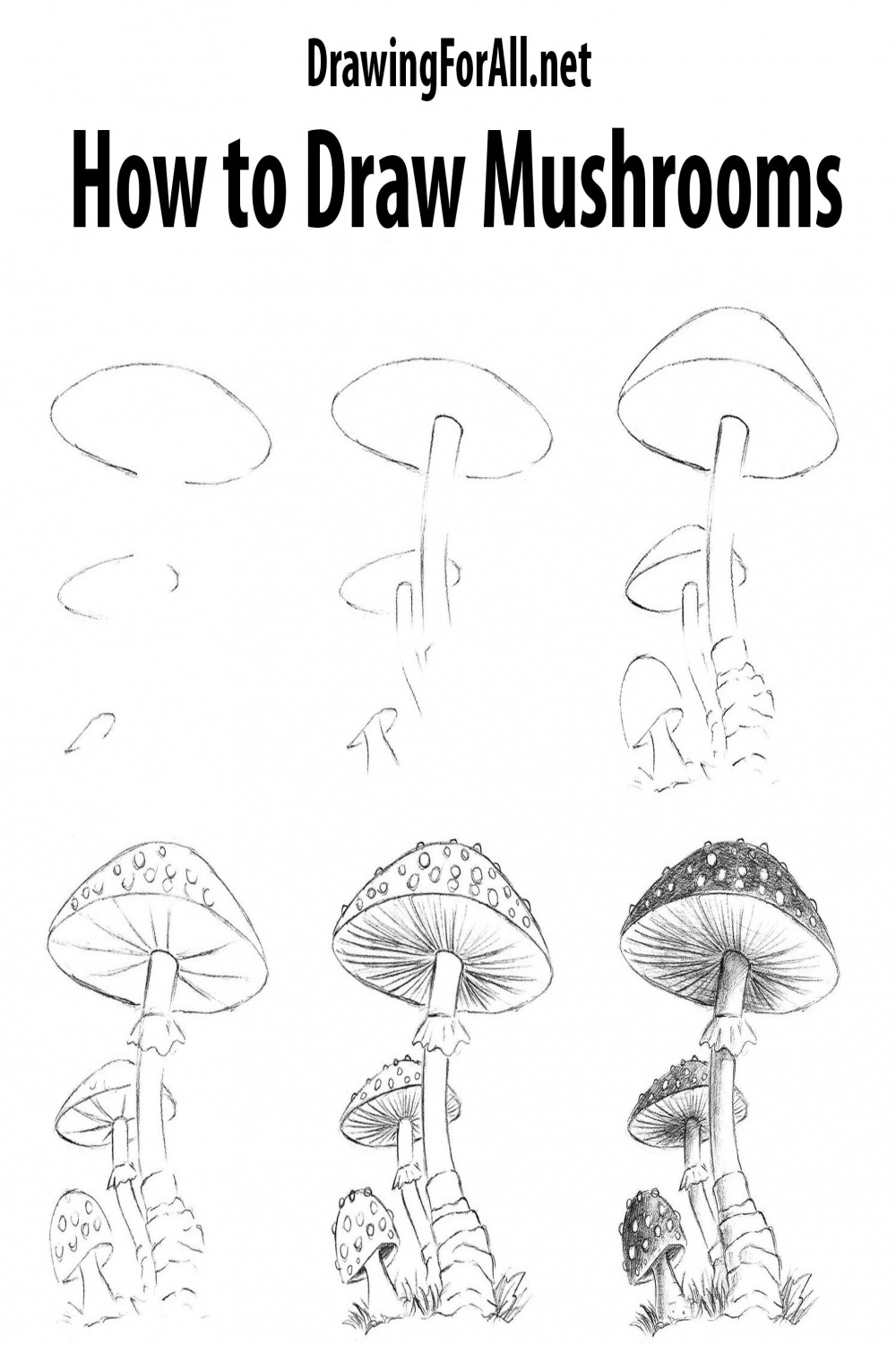 How to Draw Mushrooms  Mushroom drawing, Flower drawing tutorials