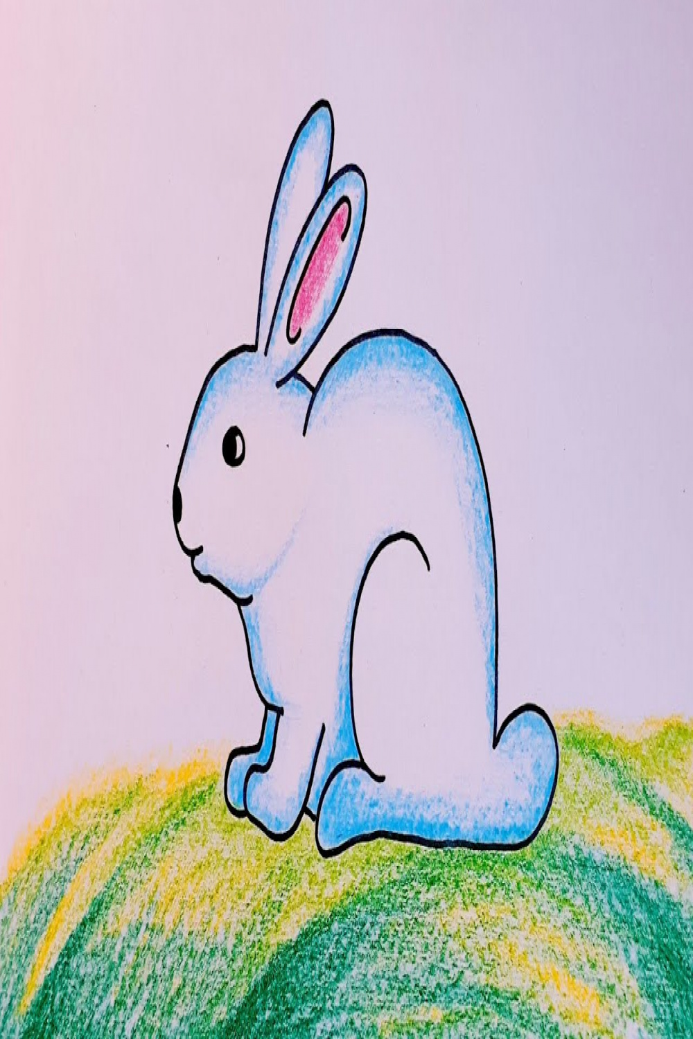 How to Draw Rabbit for Beginners  Rabbit Drawing Colour  Cute Rabbit  Drawing Step by Step..