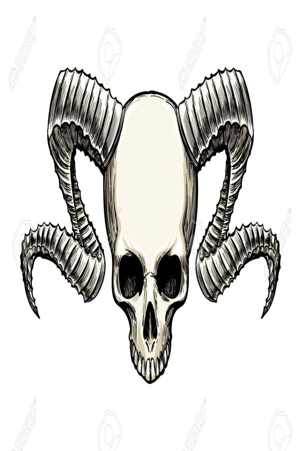 Human skull with ram horns drawn in sketch tattoo