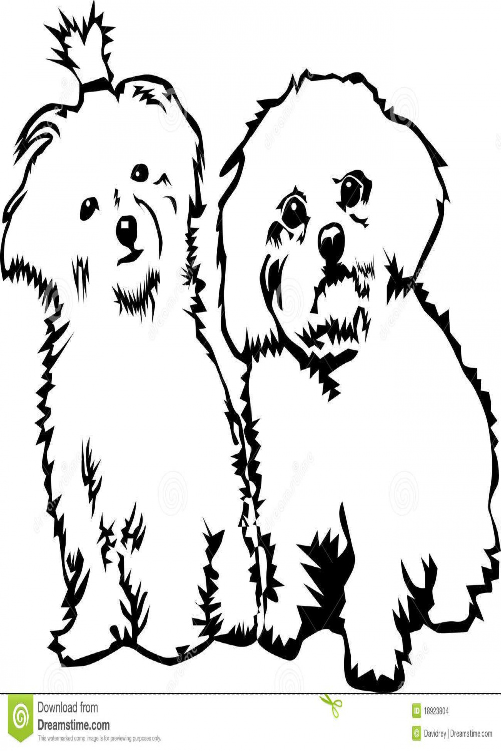 Illustration about Black and white drawing of two maltese dogs a