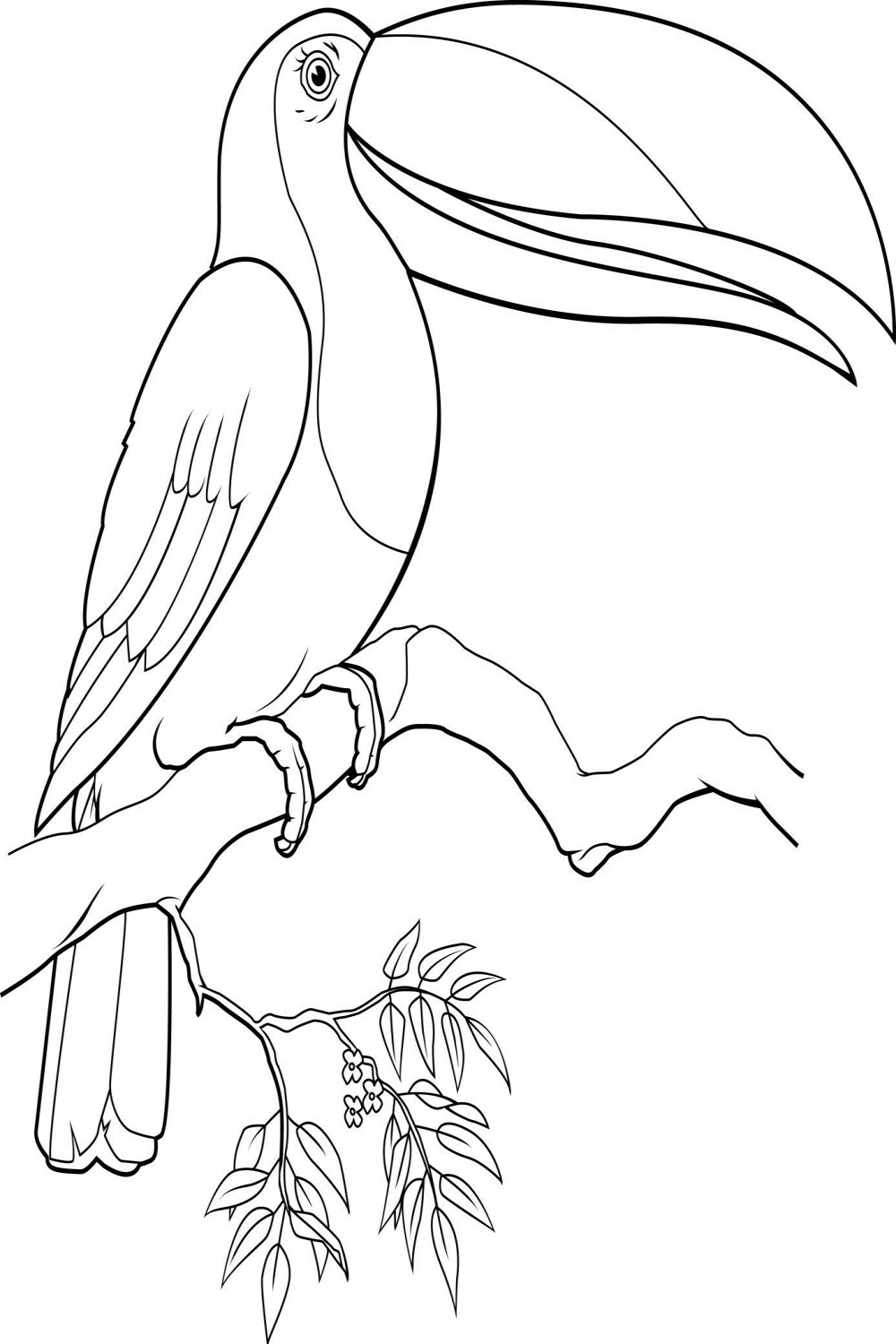 Jungle Bird Coloring Pages  Bird coloring pages, Coloring pages