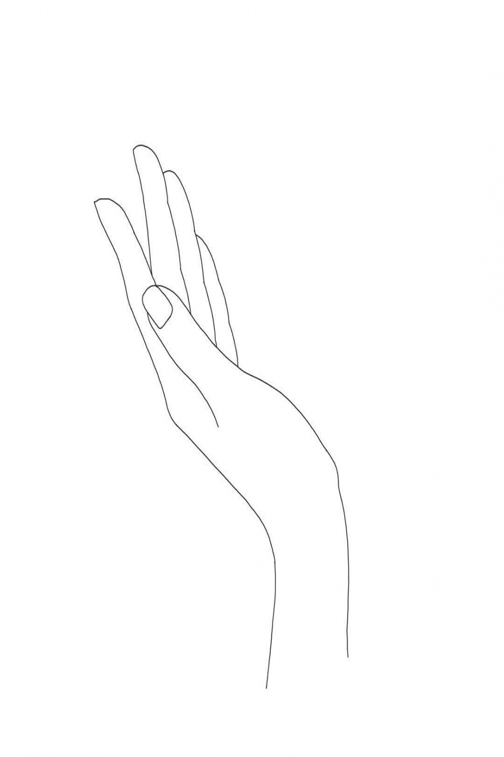 Minimalistic Hand Line Drawing