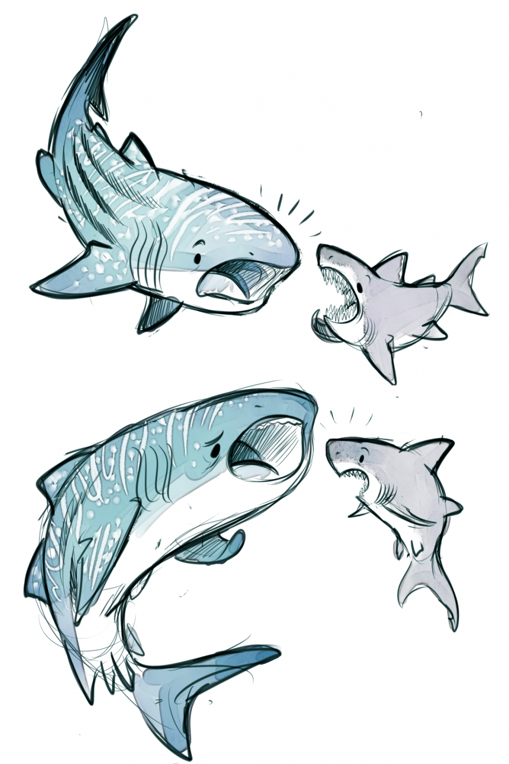 ✱☽  ʎoɾ ☽ ✱  Shark drawing, Shark art, Cute animal drawings