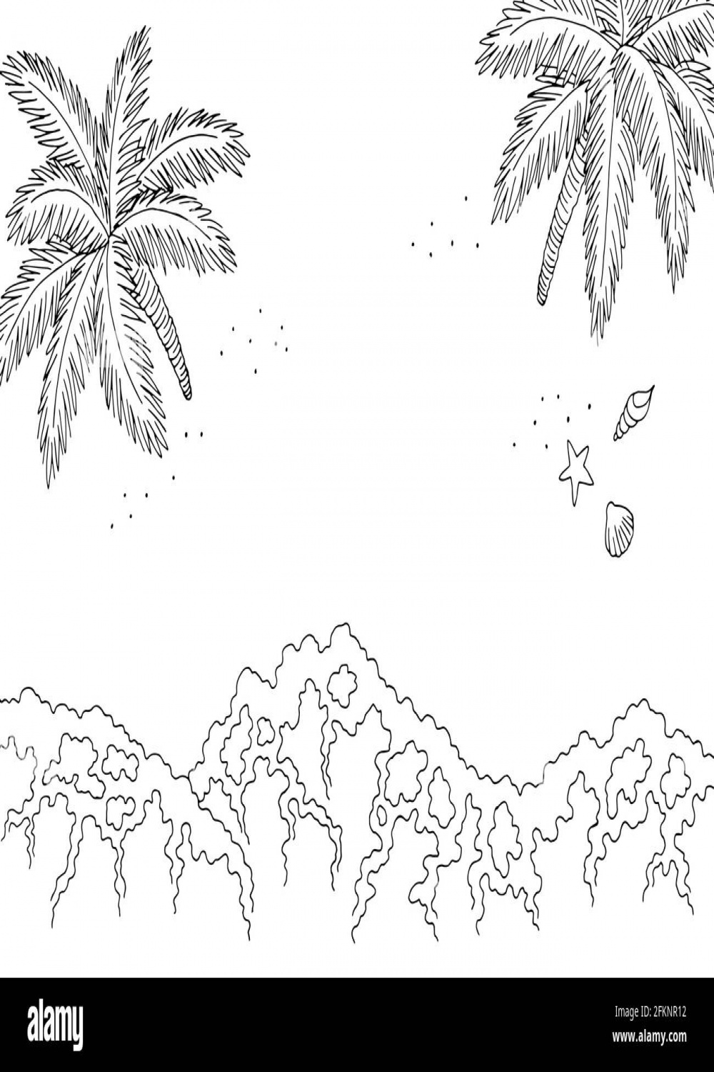 Palm tree illustration from above hi-res stock photography and