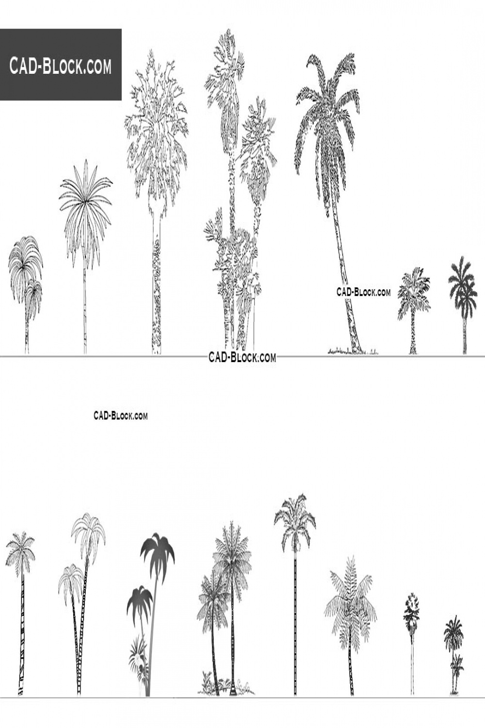 Palm trees CAD Blocks free download