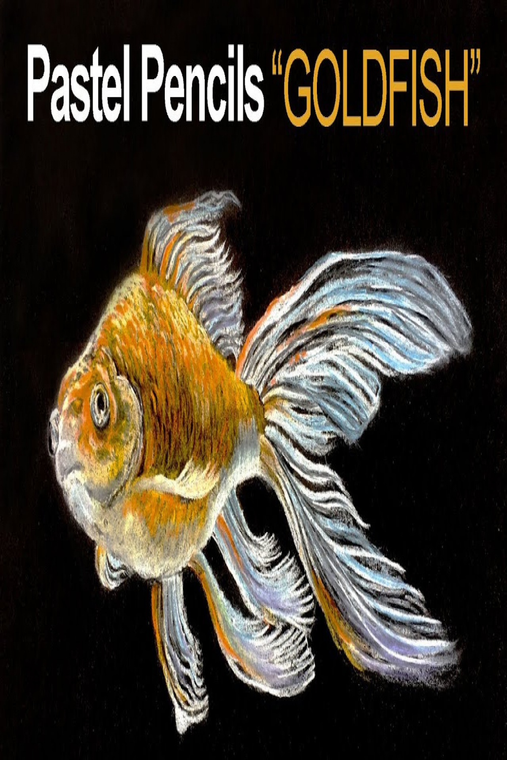 Pastel Pencils on Black Paper - Goldfish