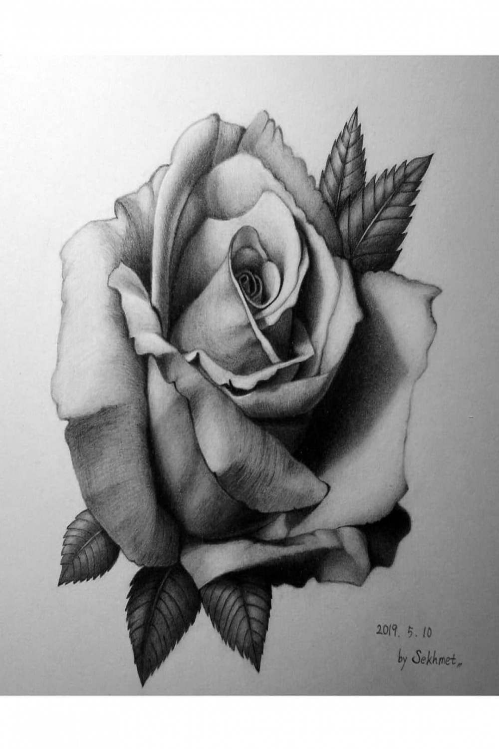 Pin by Lego on Skech  Realistic rose tattoo, Rose drawing tattoo