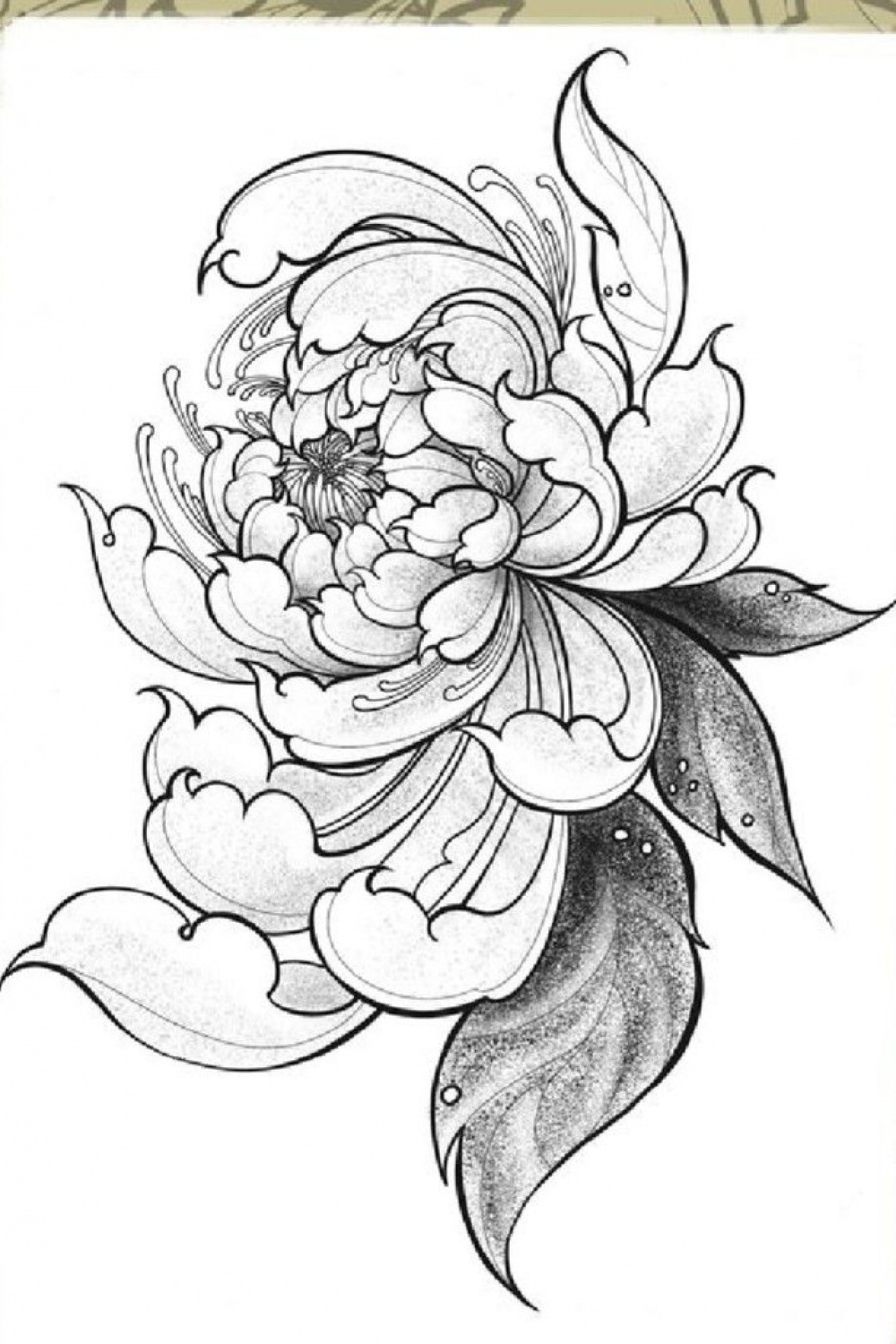 Pin by rin kim on ช่างสัก  Japanese flower tattoo, Flower tattoo