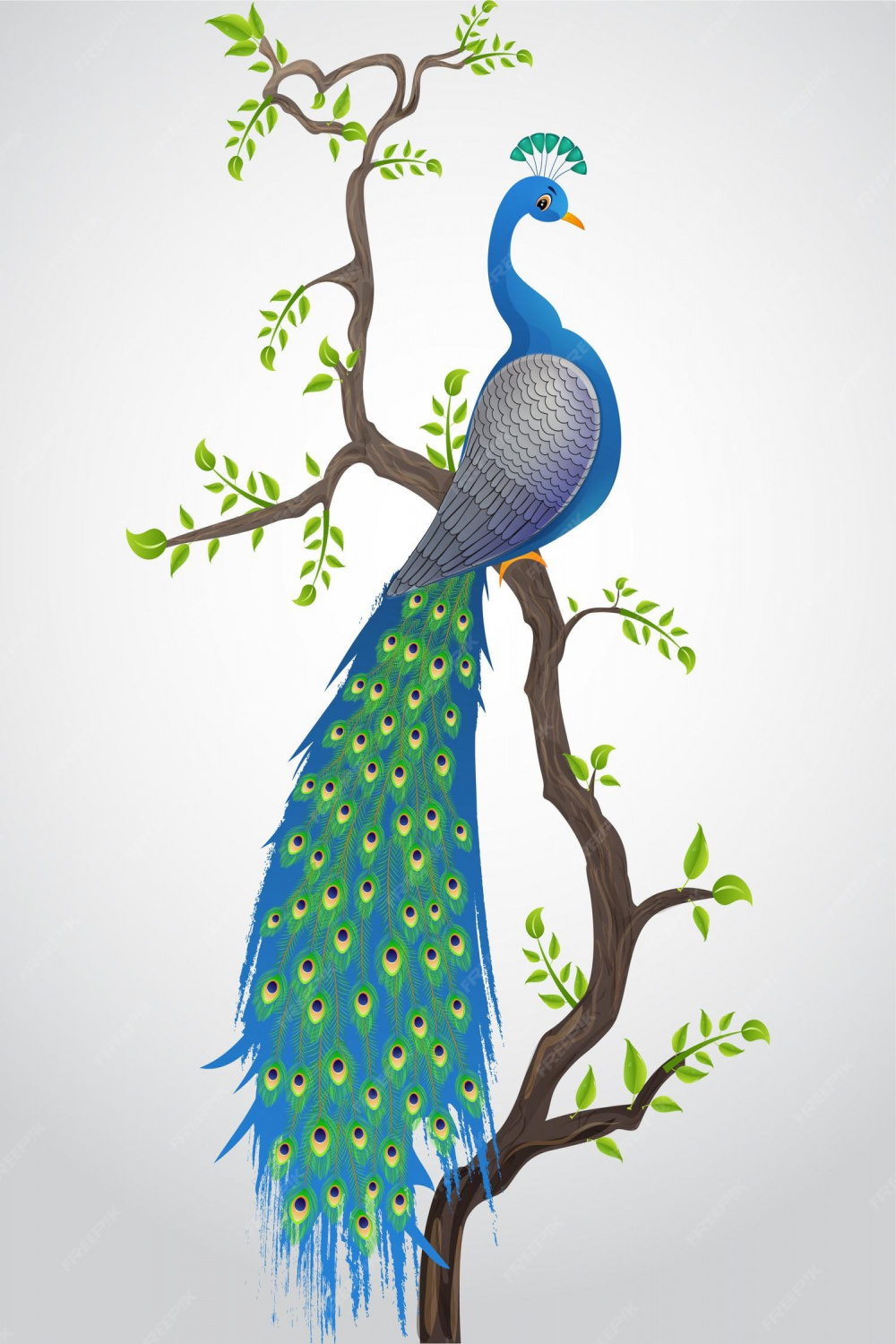 Premium Vector  Beautiful illustration of a national bird peacock