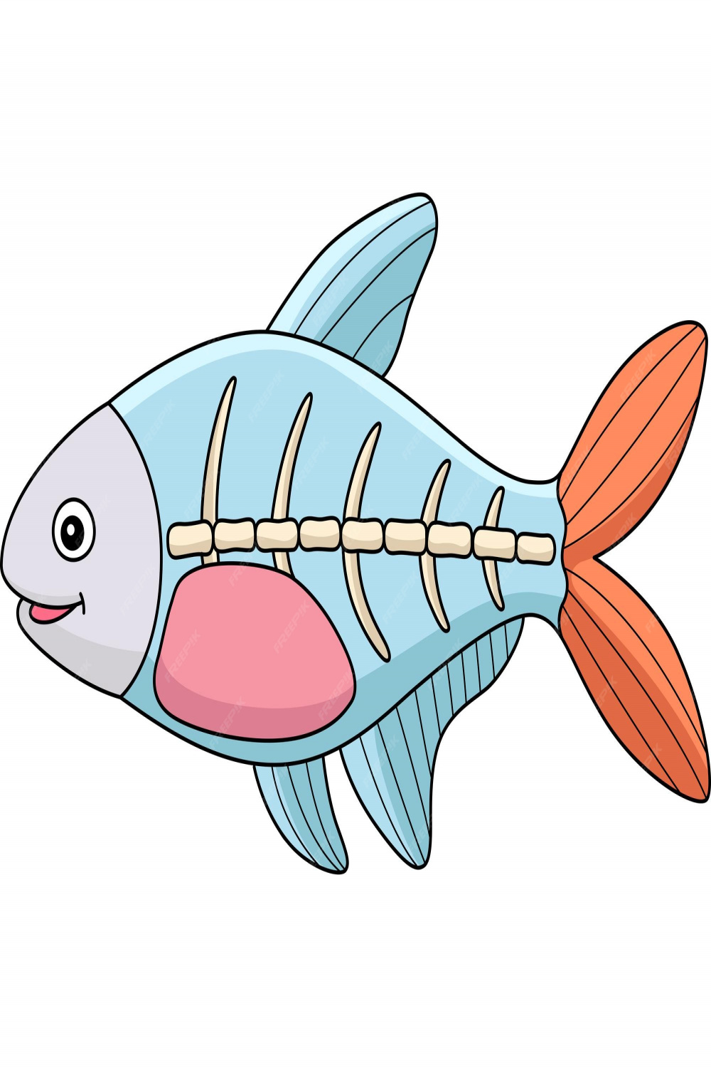 Premium Vector  Xray fish animal cartoon colored clipart