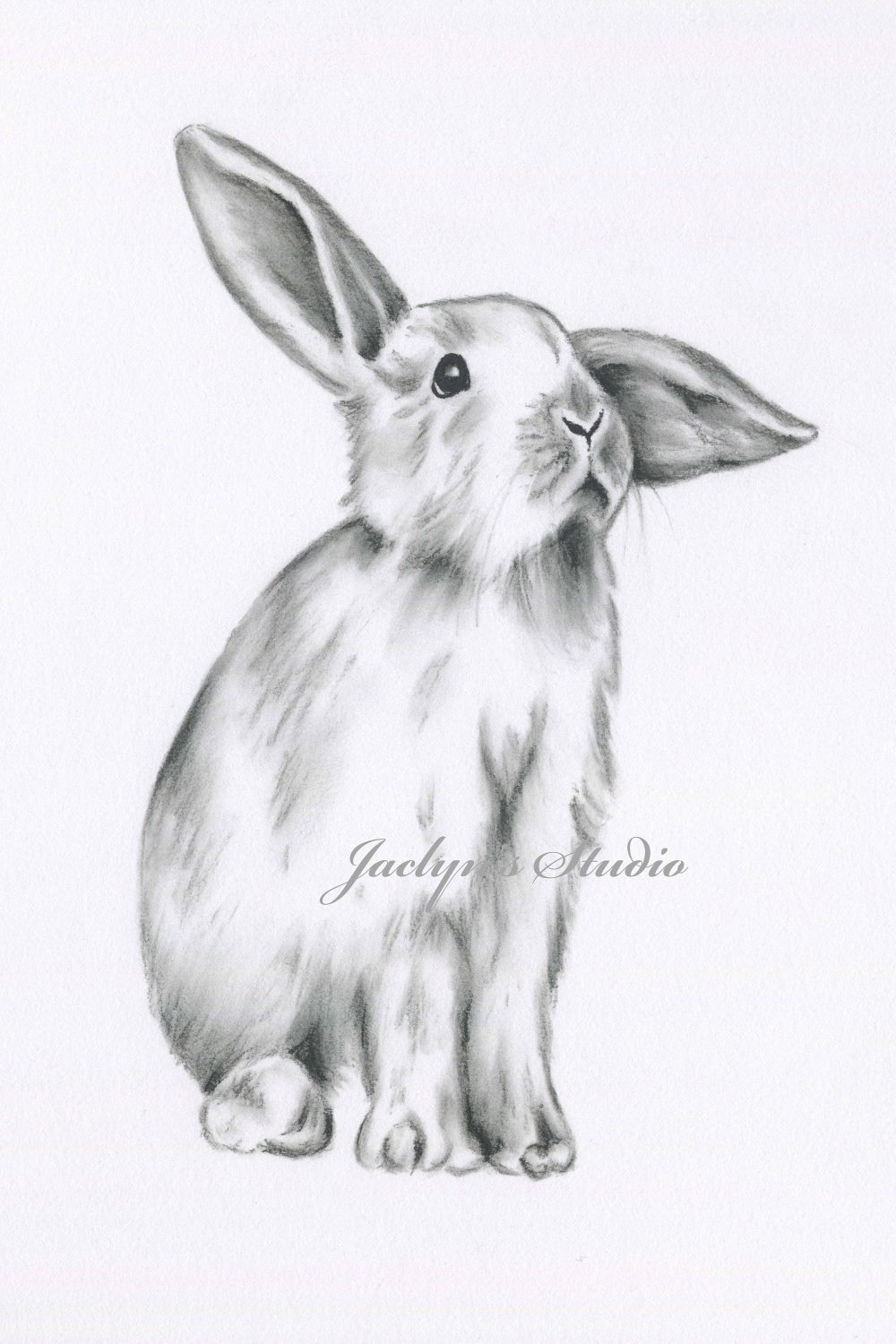 Rabbit Drawing, Bunny Drawing, Bunny Print, Rabbit Print, x