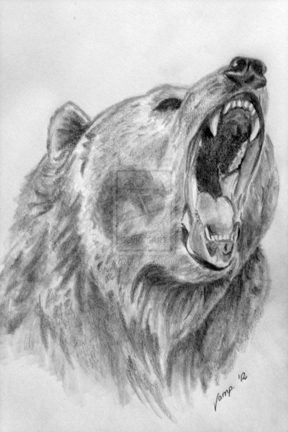 realistic bear drawing by VempireTattoo on DeviantArt  Bear