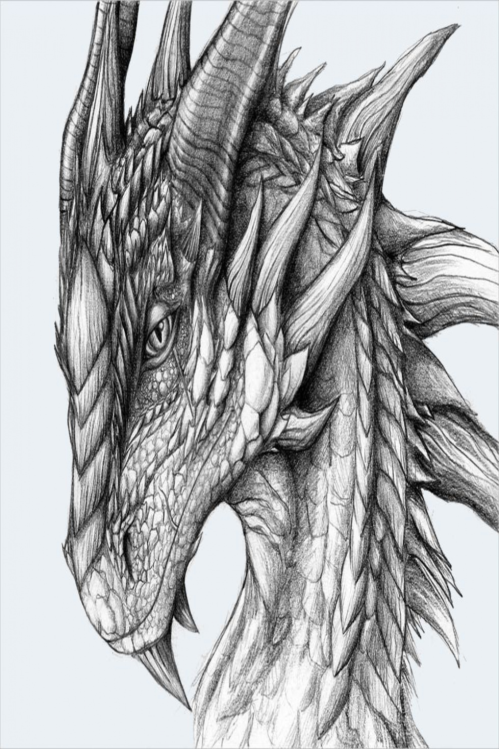 + Realistic Dragon Drawings  Realistic dragon, Dragon drawing