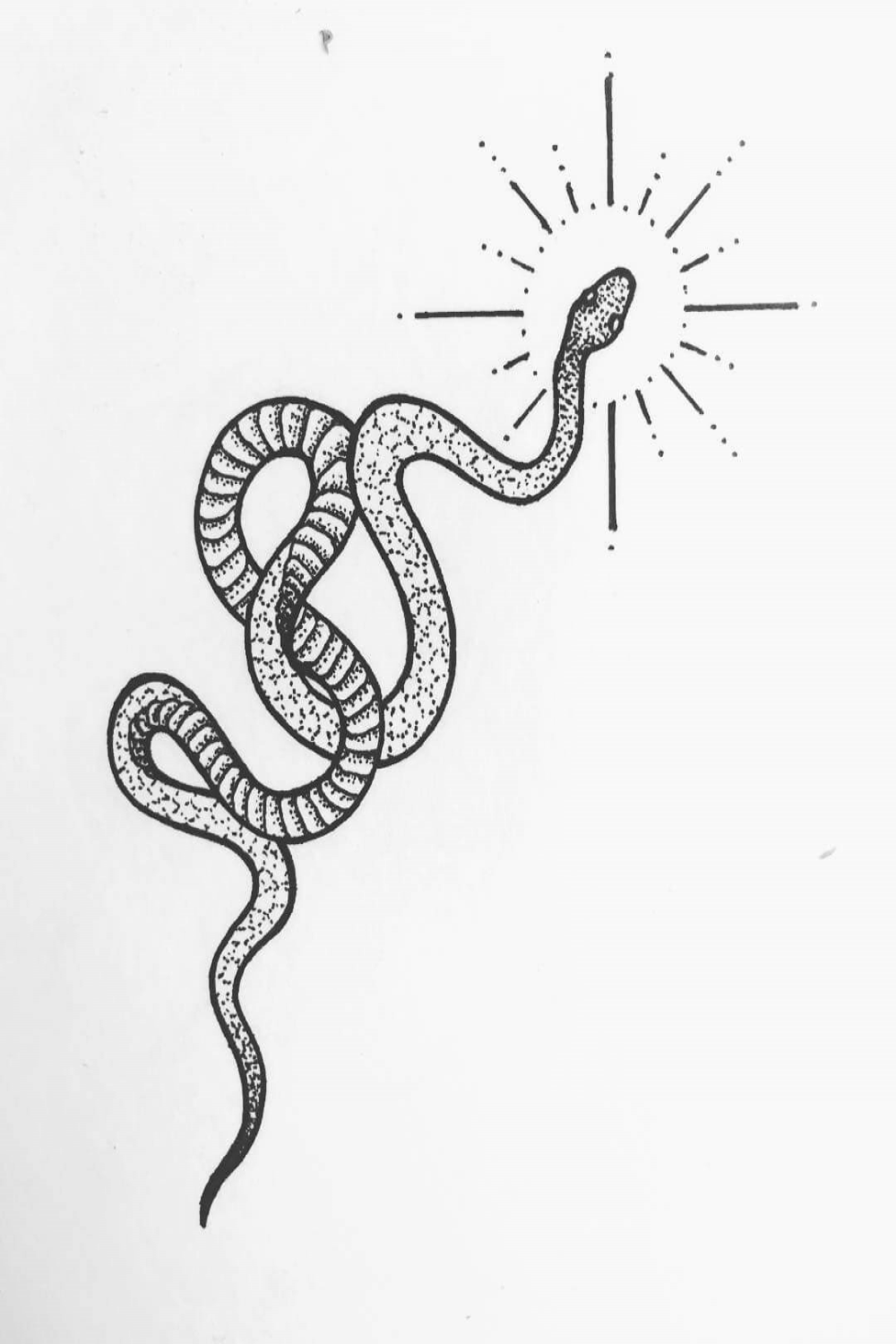 Realistic Snake Tattoo Drawing Ideas  PetPress  Snake tattoo