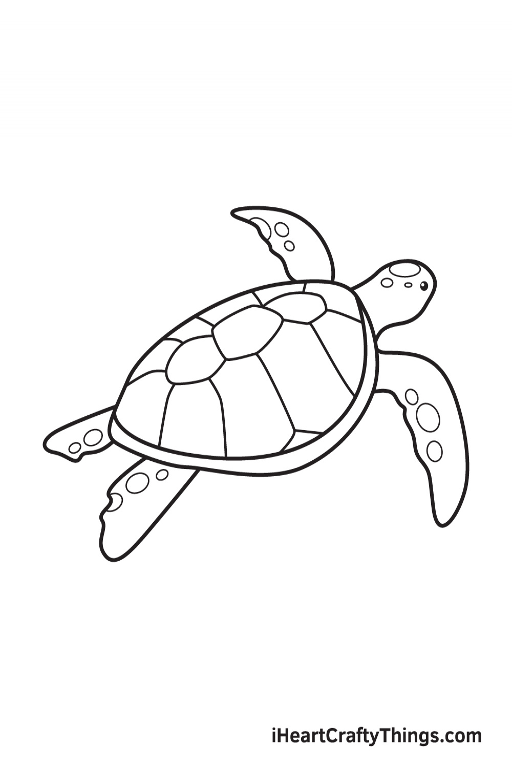 Sea Turtle Drawing - How To Draw A Sea Turtle Step By Step