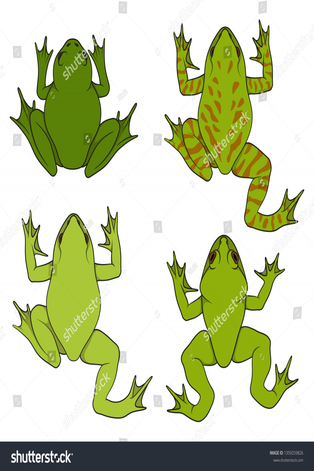 Set Color Illustrations Water River Frogs Stock Vector (Royalty