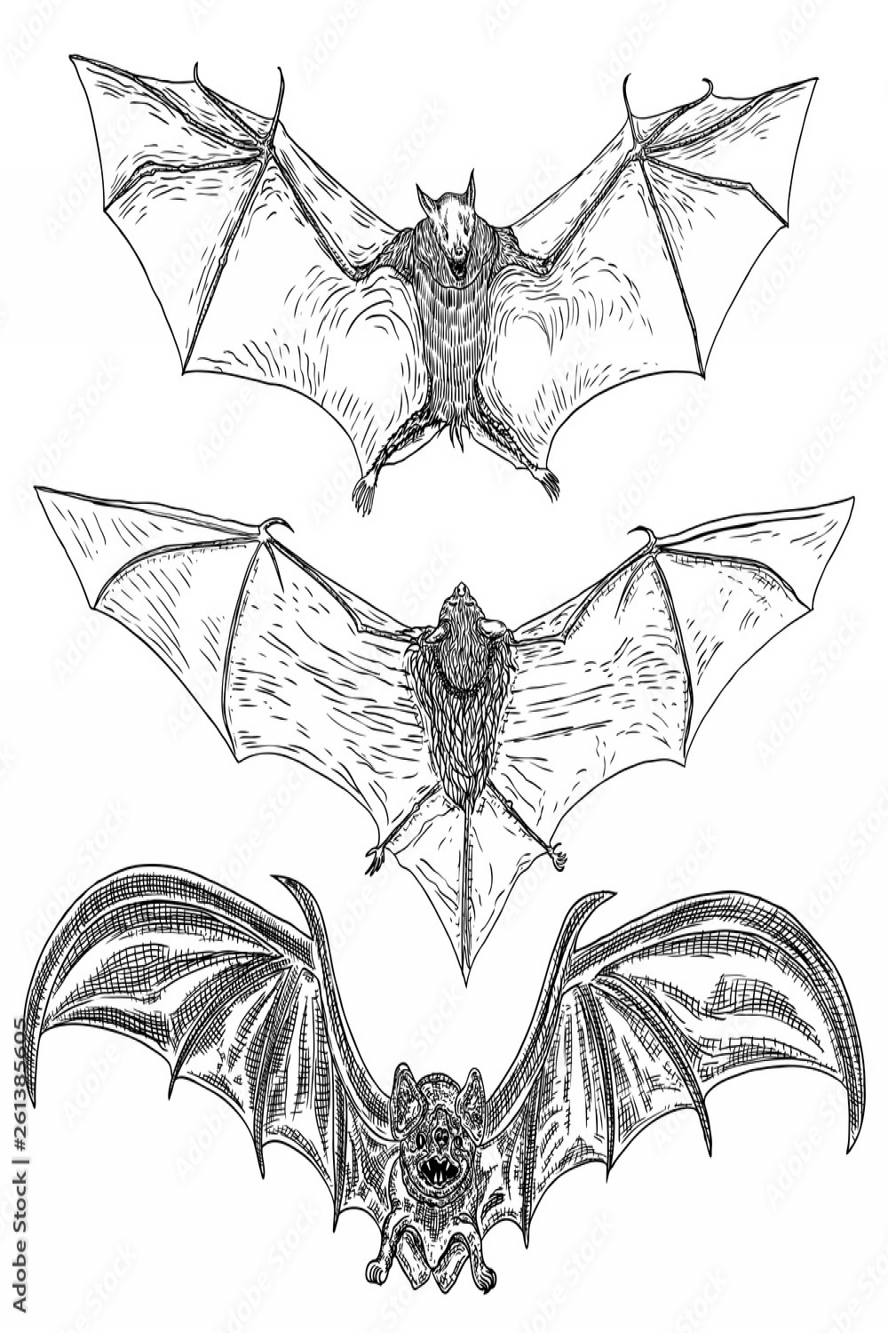 Set of bats with open wings drawing