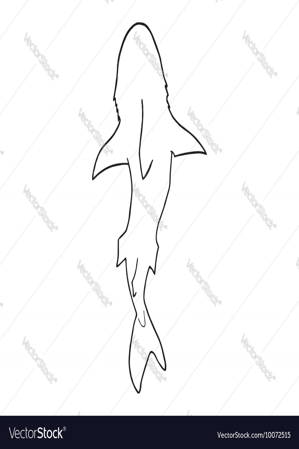 Shark silhouette top view Royalty Free Vector Image