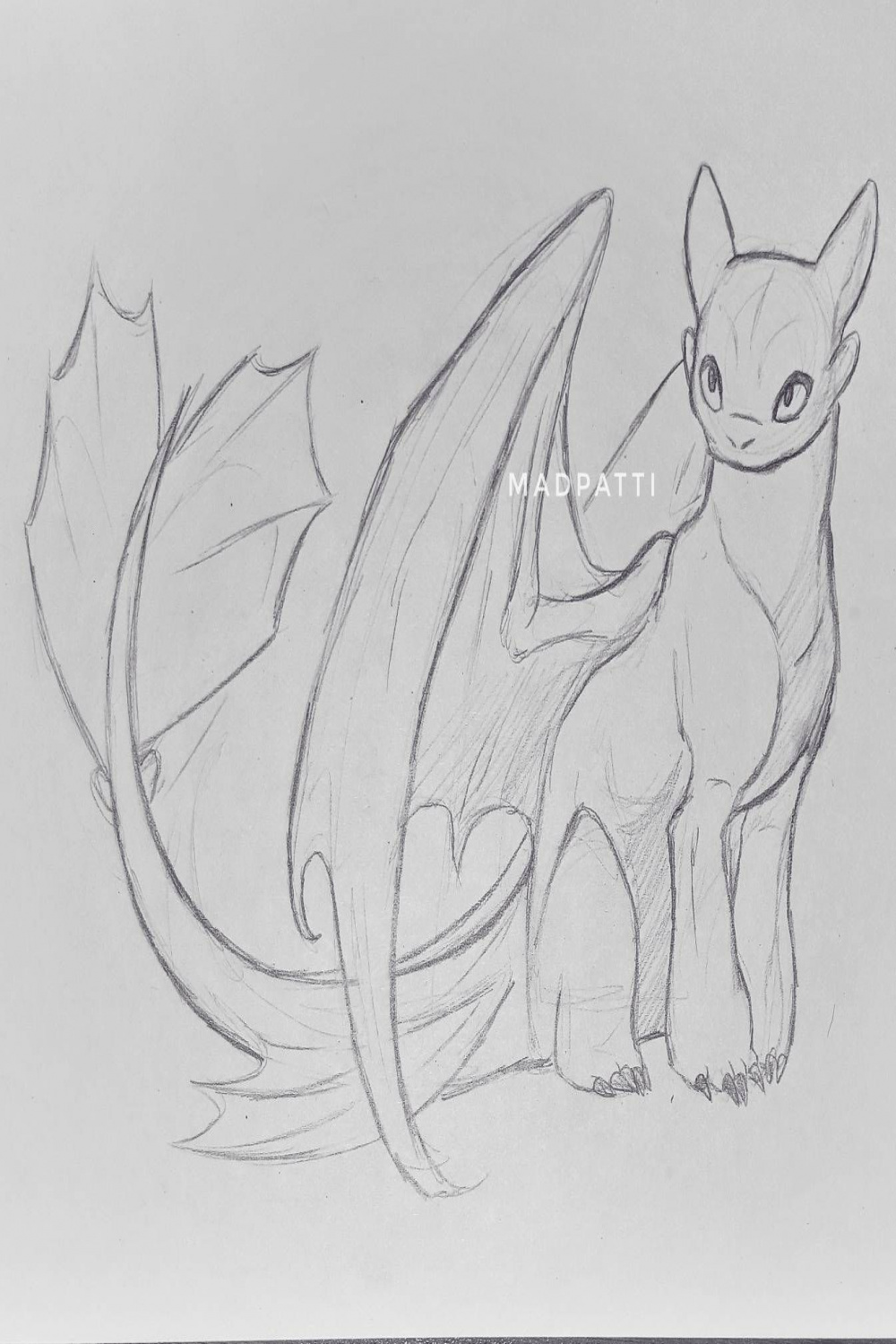 Sketch drawing of the Light Fury the White Night Fury dragon