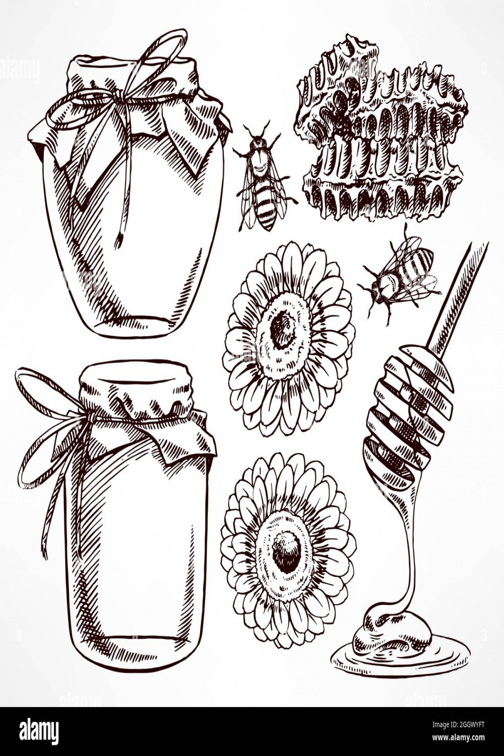 sketch honey set. jars of honey, bees, honeycomb