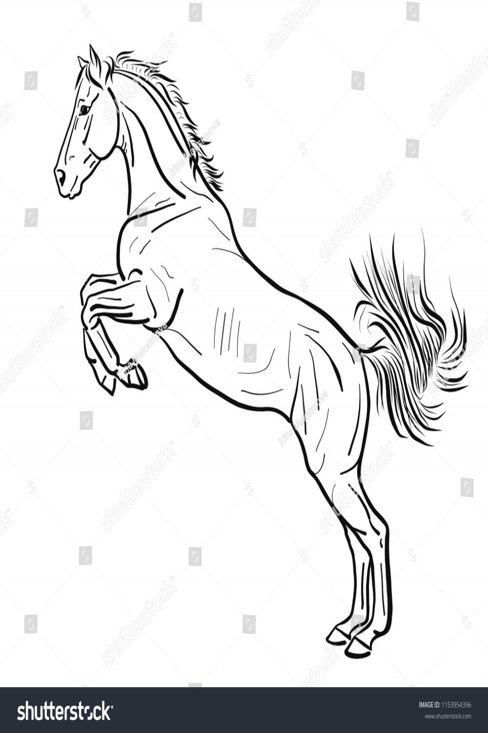 Sketch Horse Standing On Hind Legs Stock Vector (Royalty Free