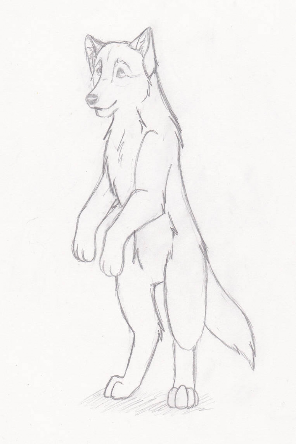 Standing Wolf by Inumaru on DeviantArt