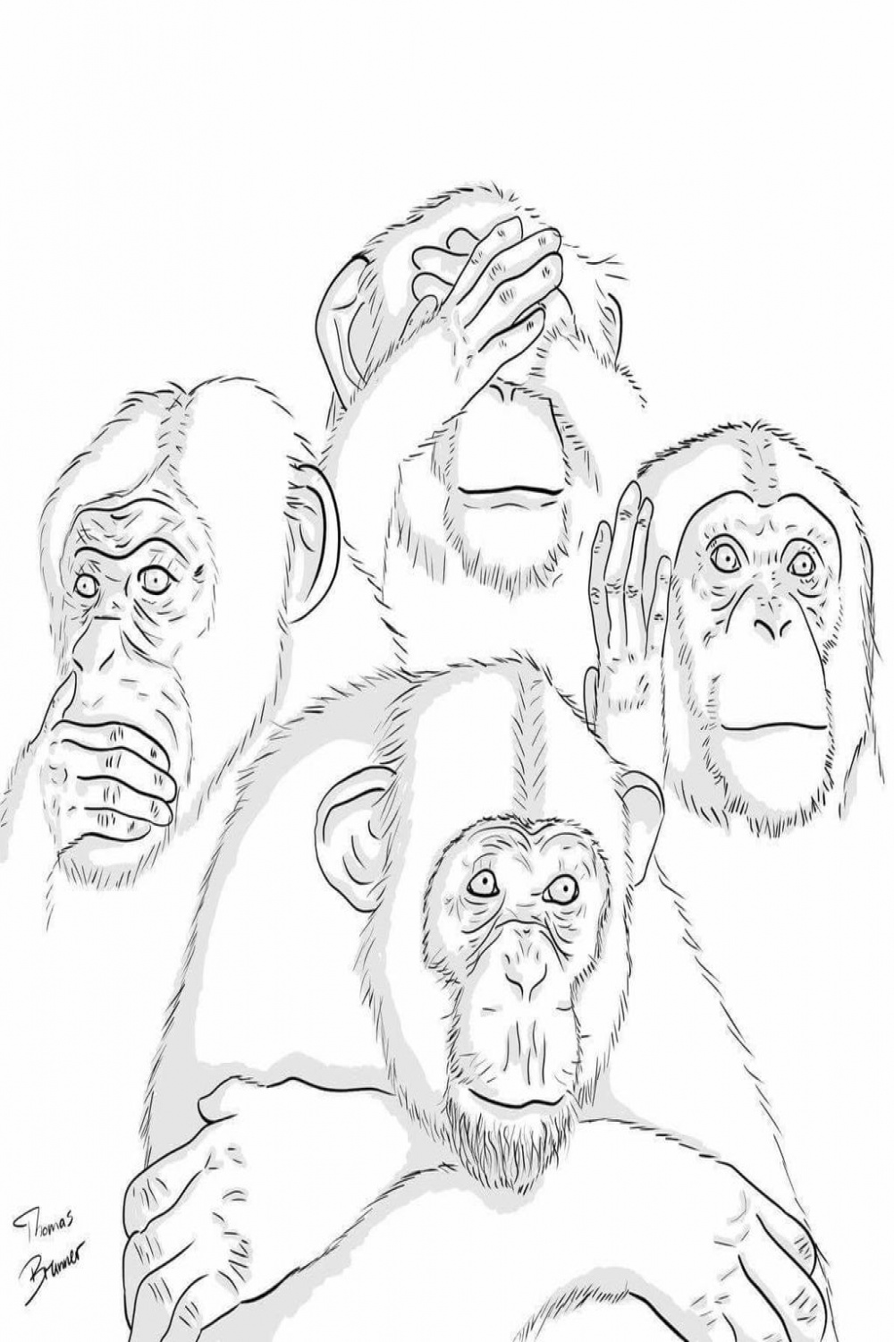 the  wise monkeys by LuckyHarlequin on DeviantArt