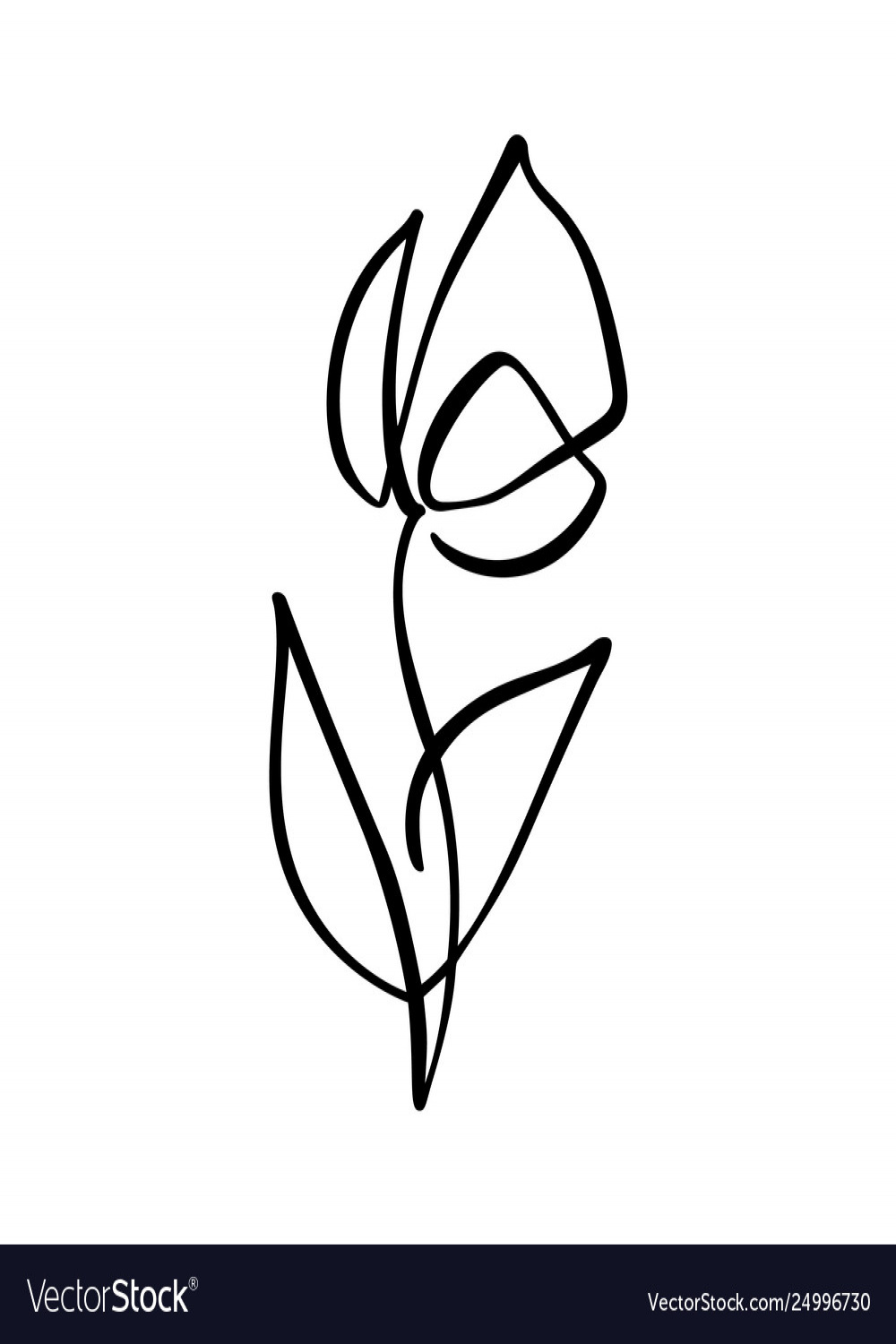 Tulip flower logo continuous line hand drawing Vector Image