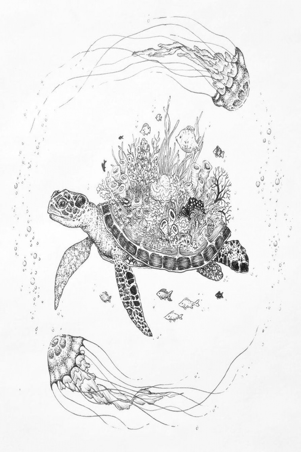 Turtle reef and jelly fish. ink on paper