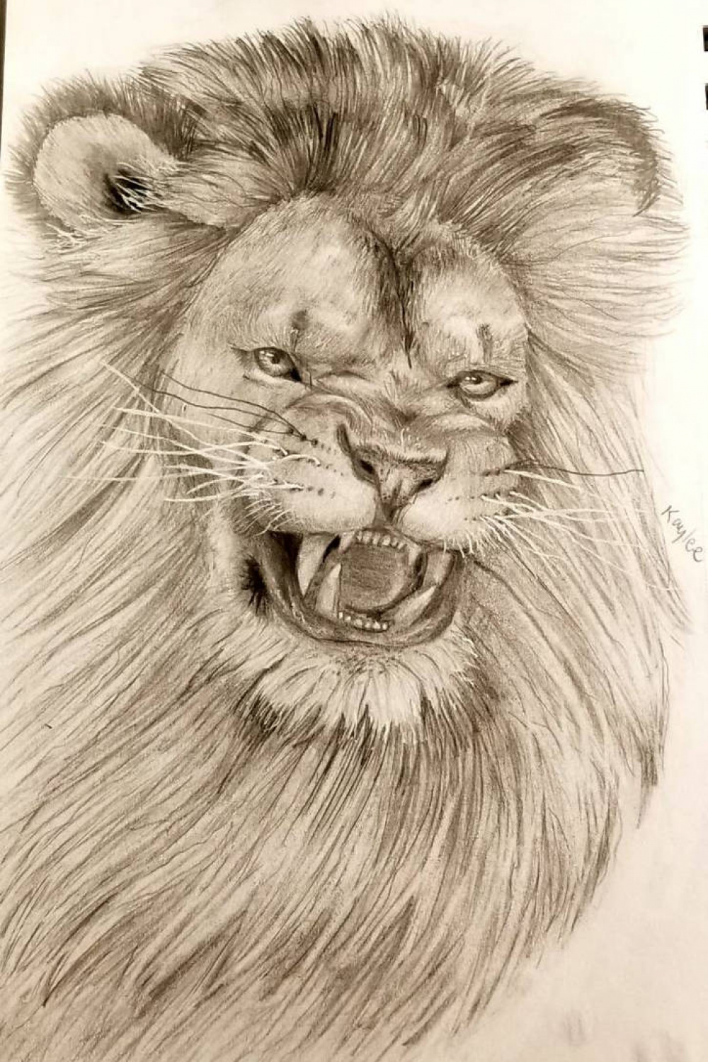 ugly ass lion by Kaykulele on DeviantArt