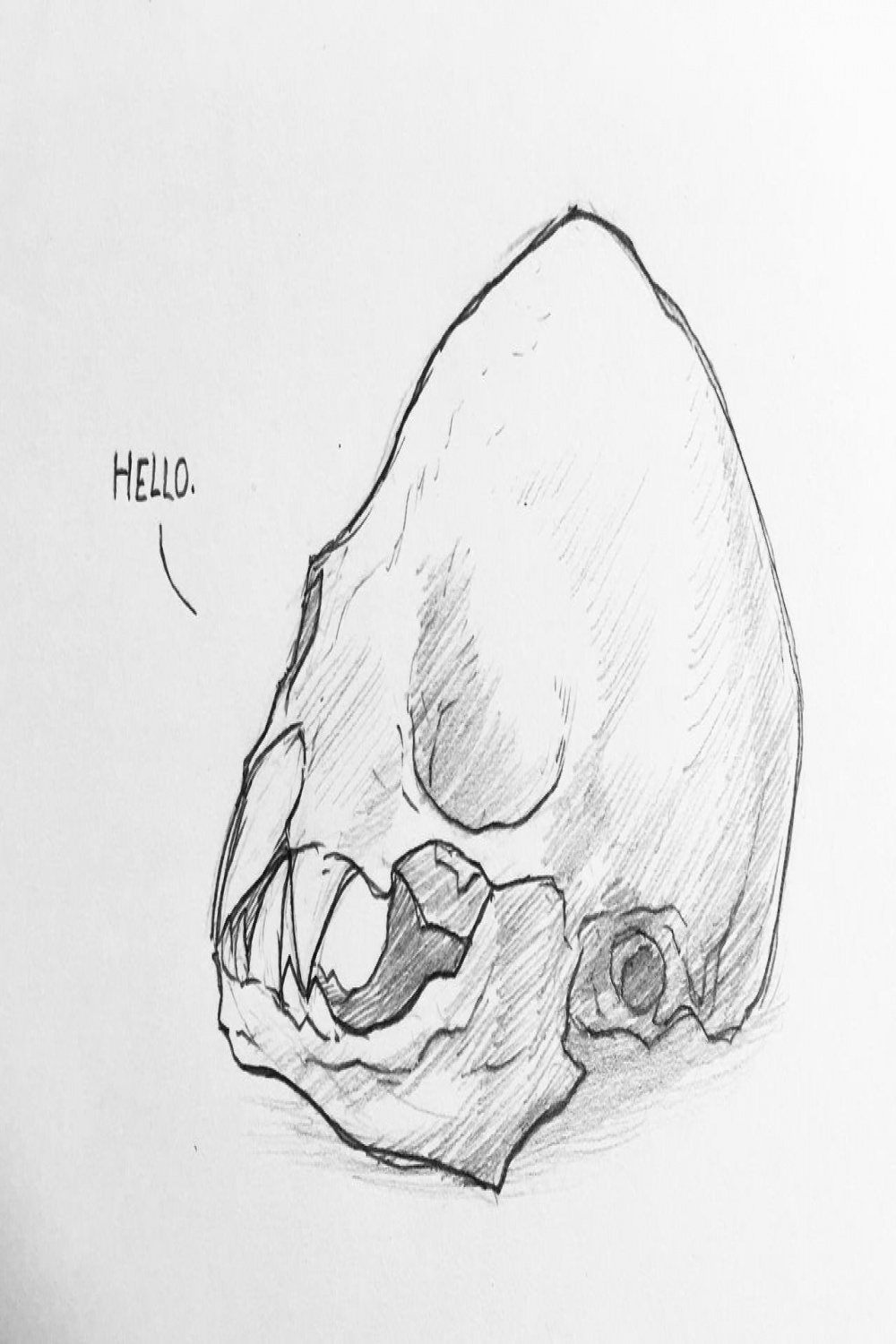 Vampire Bat Skull by FlegFungus on DeviantArt