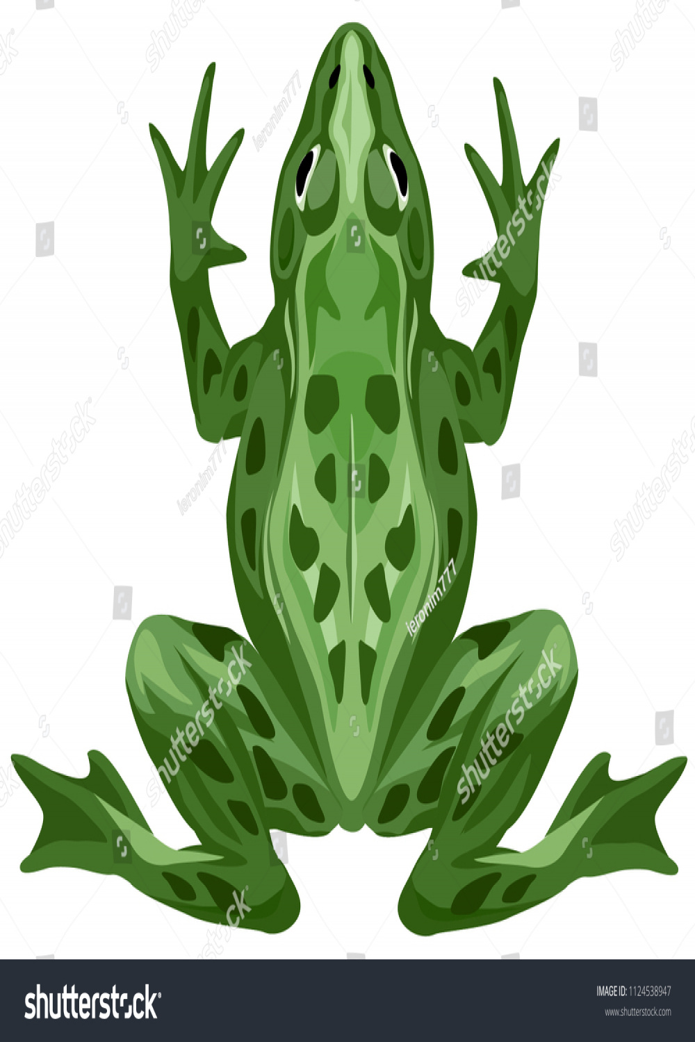 Vector Color Illustration Green Frog Dark Stock Vector (Royalty