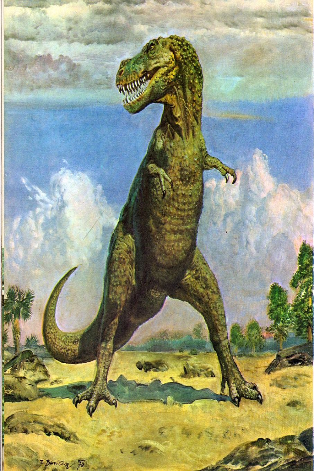 Vintage Dinosaur Art: Life before Man - Part   Dinosaur