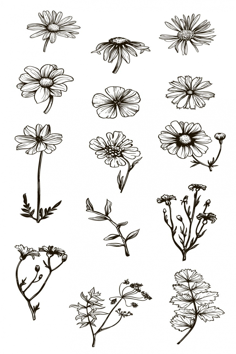 Vintage Flowers & Herbs  Flower art drawing, Flower sketches