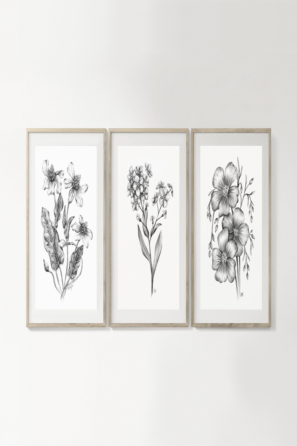 Wildflowers Art PRINT Set of , Flower Pencil Drawing Wall Art