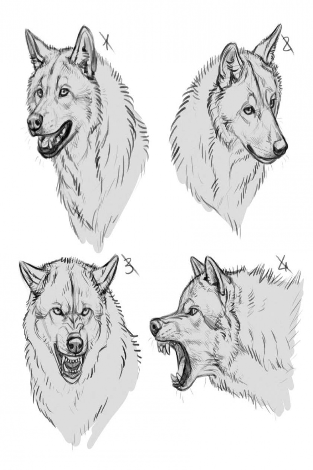 YCH Wolves - SOLD by makangeni on DeviantArt  Canine drawing