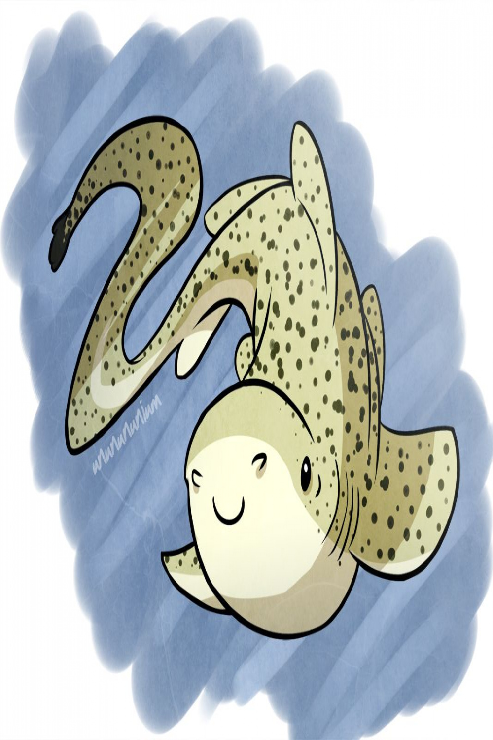 Zebra Shark  Zebra shark, Shark, Shark week