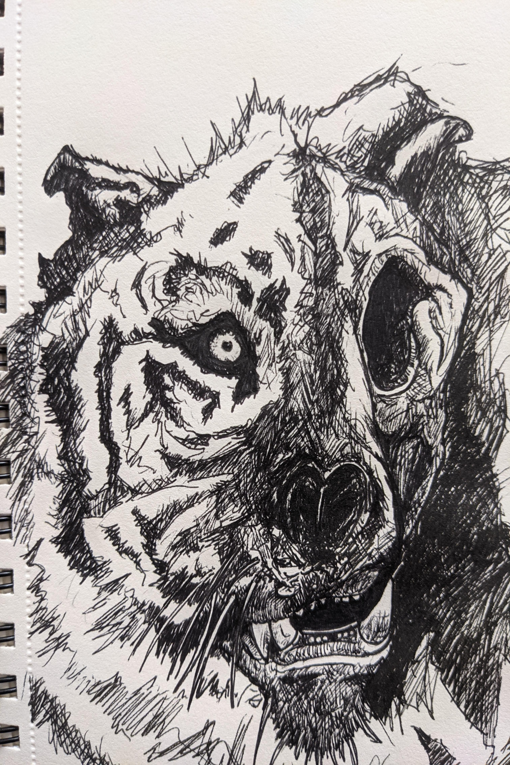 Zombie tiger : r/drawing