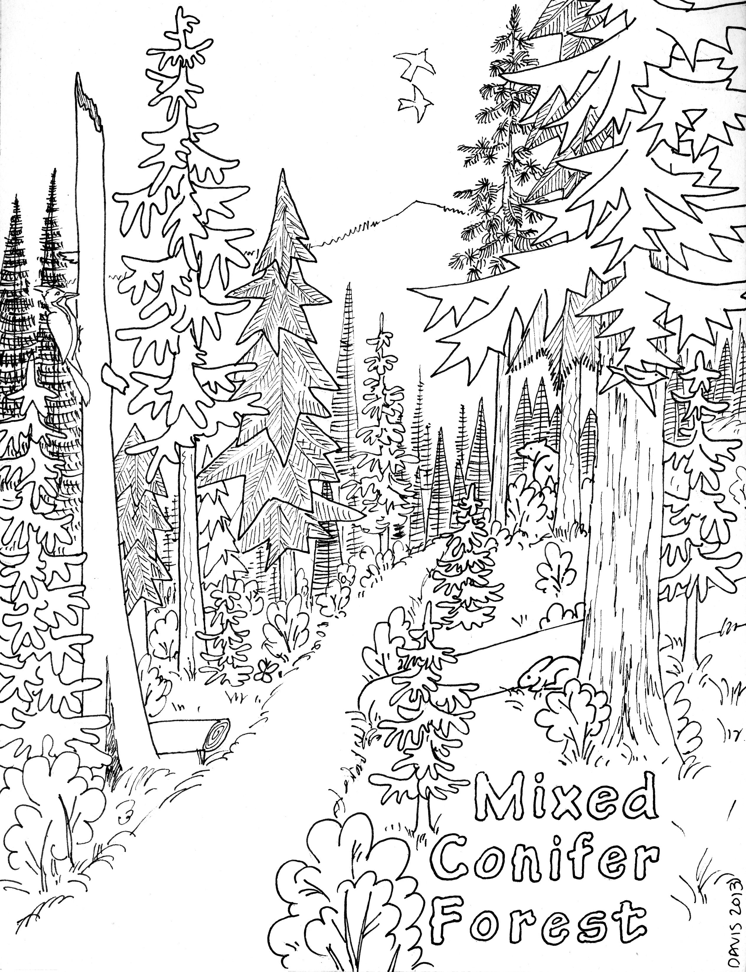 20 Easy Coloring Pages For Kids Nature