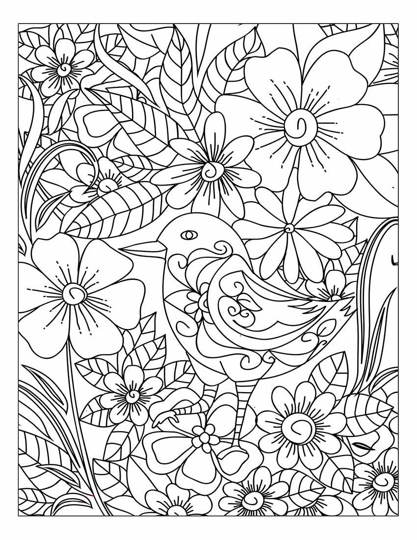 20 Easy Coloring Pages For Kids Nature