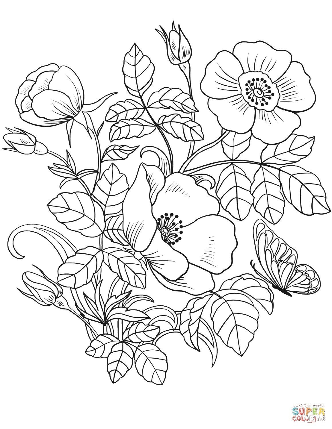 20 Real Flower Coloring Pages