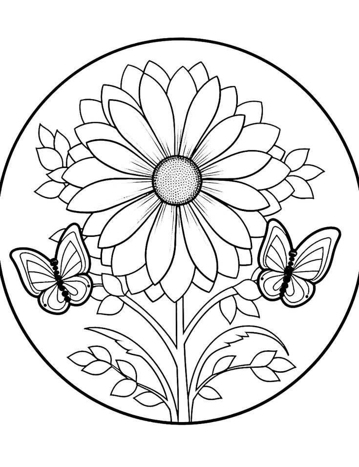 20 Real Flower Coloring Pages