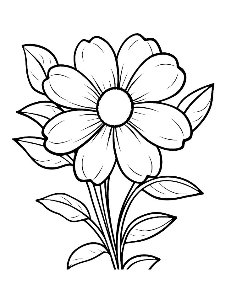 20 Real Flower Coloring Pages