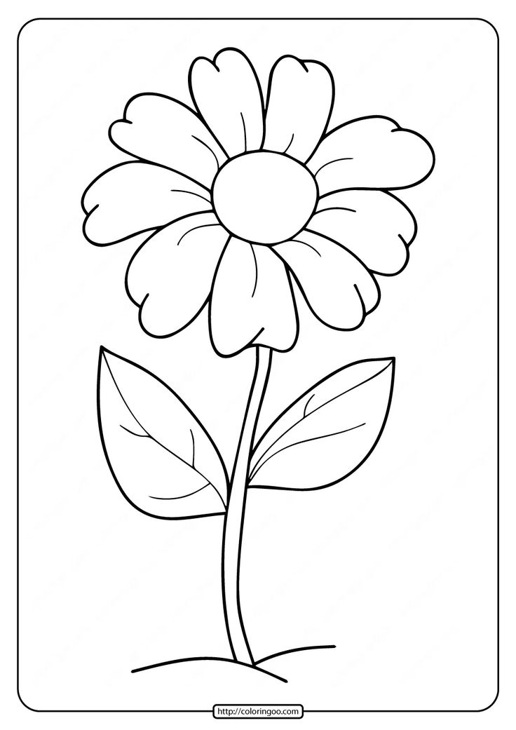 20 Real Flower Coloring Pages