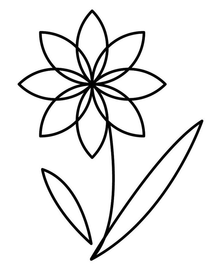 20 Real Flower Coloring Pages